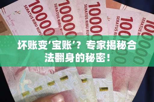 北京坏账变‘宝账’？专家揭秘合法翻身的秘密！