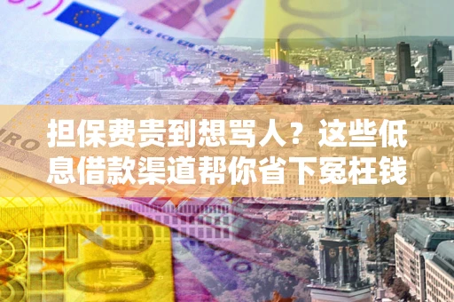 北京担保费贵到想骂人？这些低息借款渠道帮你省下冤枉钱