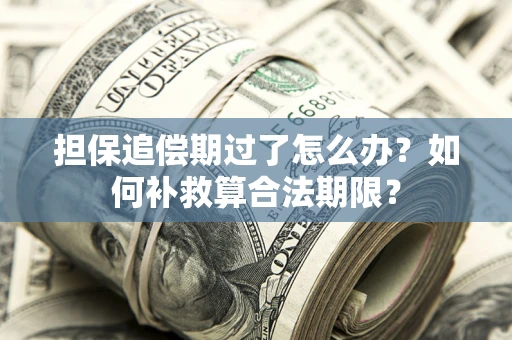 北京担保追偿期过了怎么办？如何补救算合法期限？