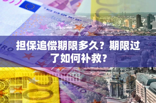 北京担保追偿期限多久？期限过了如何补救？