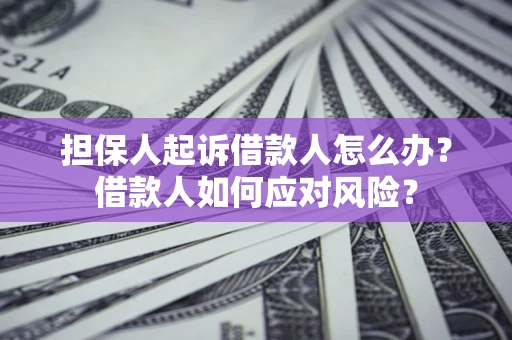 北京担保人起诉借款人怎么办？借款人如何应对风险？