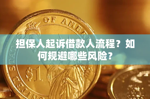 北京担保人起诉借款人流程？如何规避哪些风险？