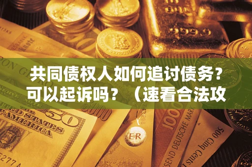 北京共同债权人如何追讨债务？可以起诉吗？（速看合法攻略）